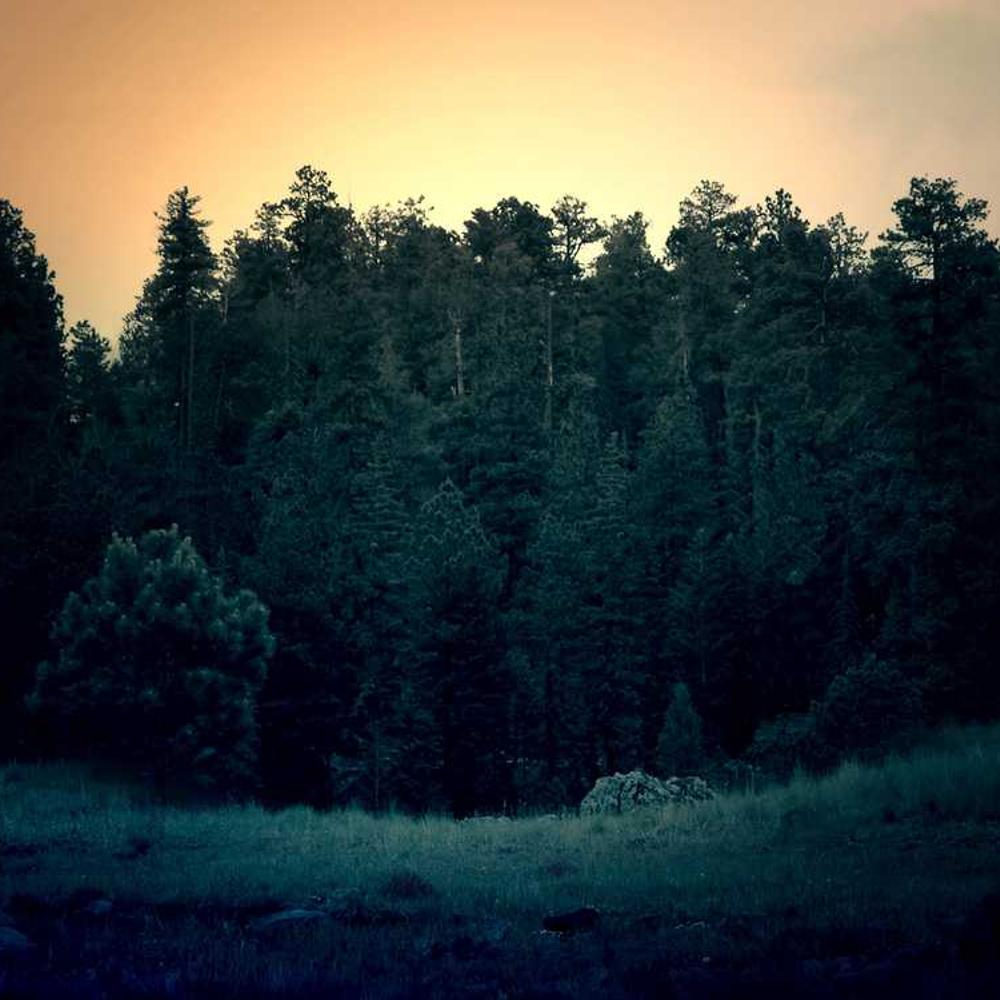 Professional TikTok Stitch Integration