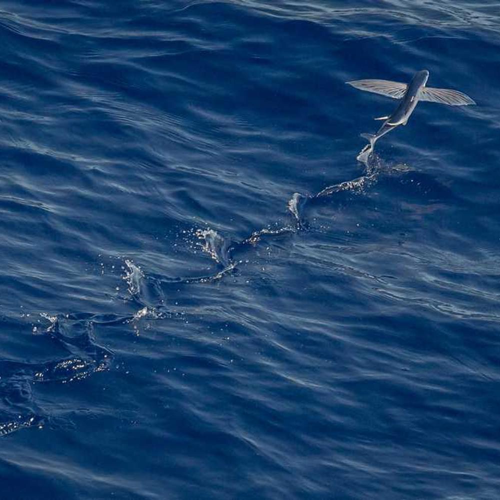 Authentic Parenting Content for Filipino Families