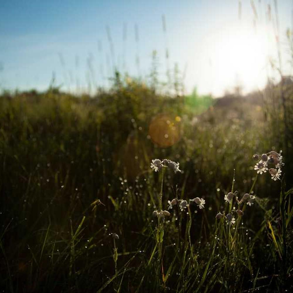 Authentic Fitness Post by Mumbai Athlete