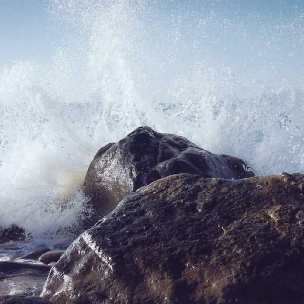 Full-Day Brand Story Takeover