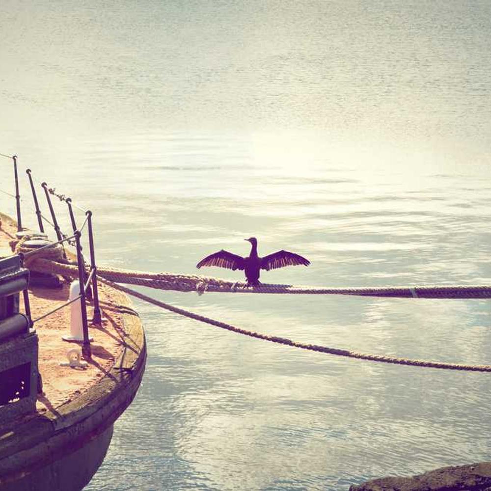 Custom Poetic Reels for Your Brand