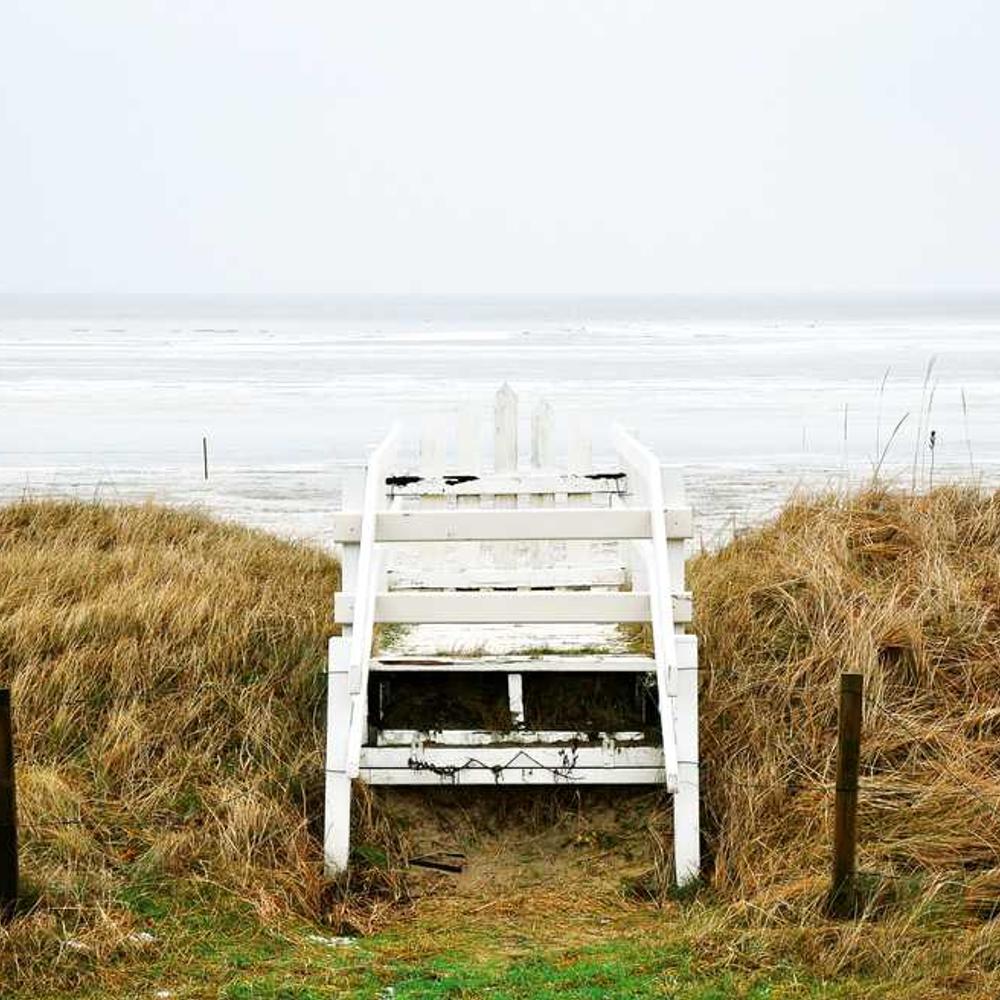 Authentic Family Stories Partnership