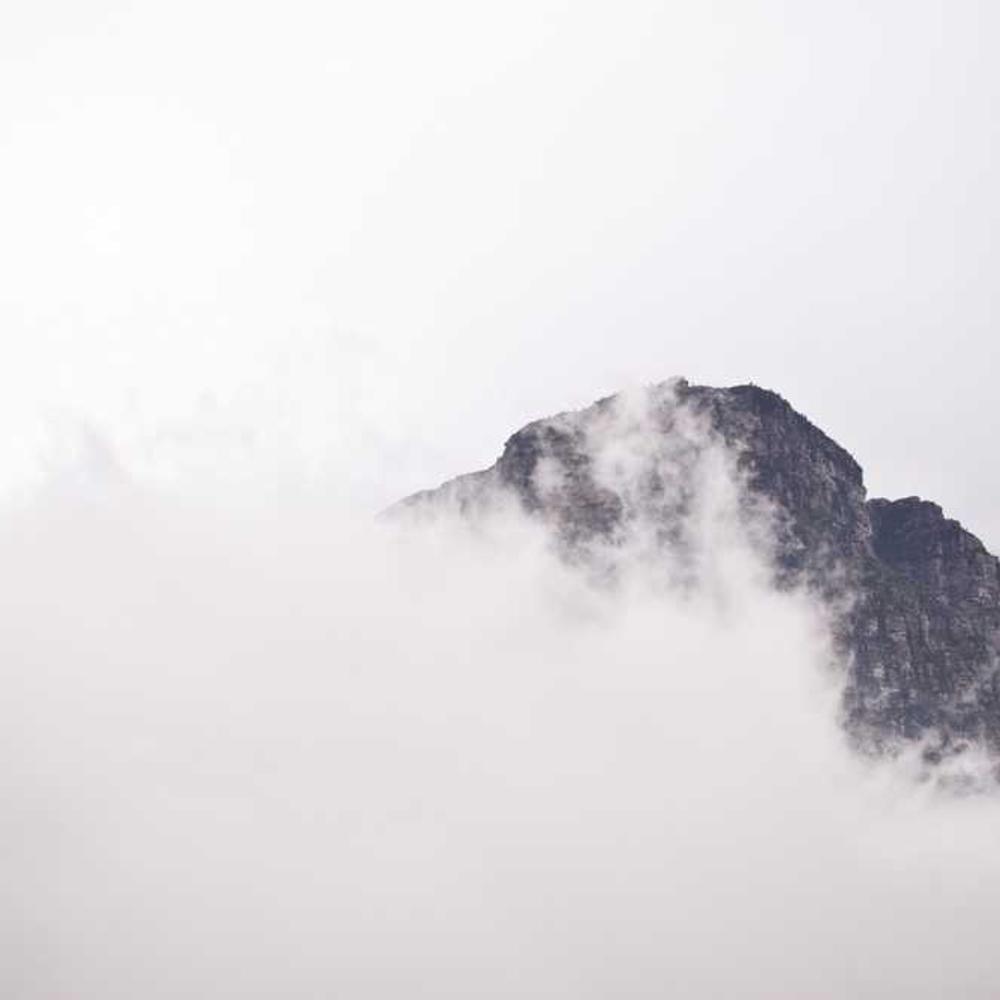 This SC Spotlight Video offer provides brands with authentic