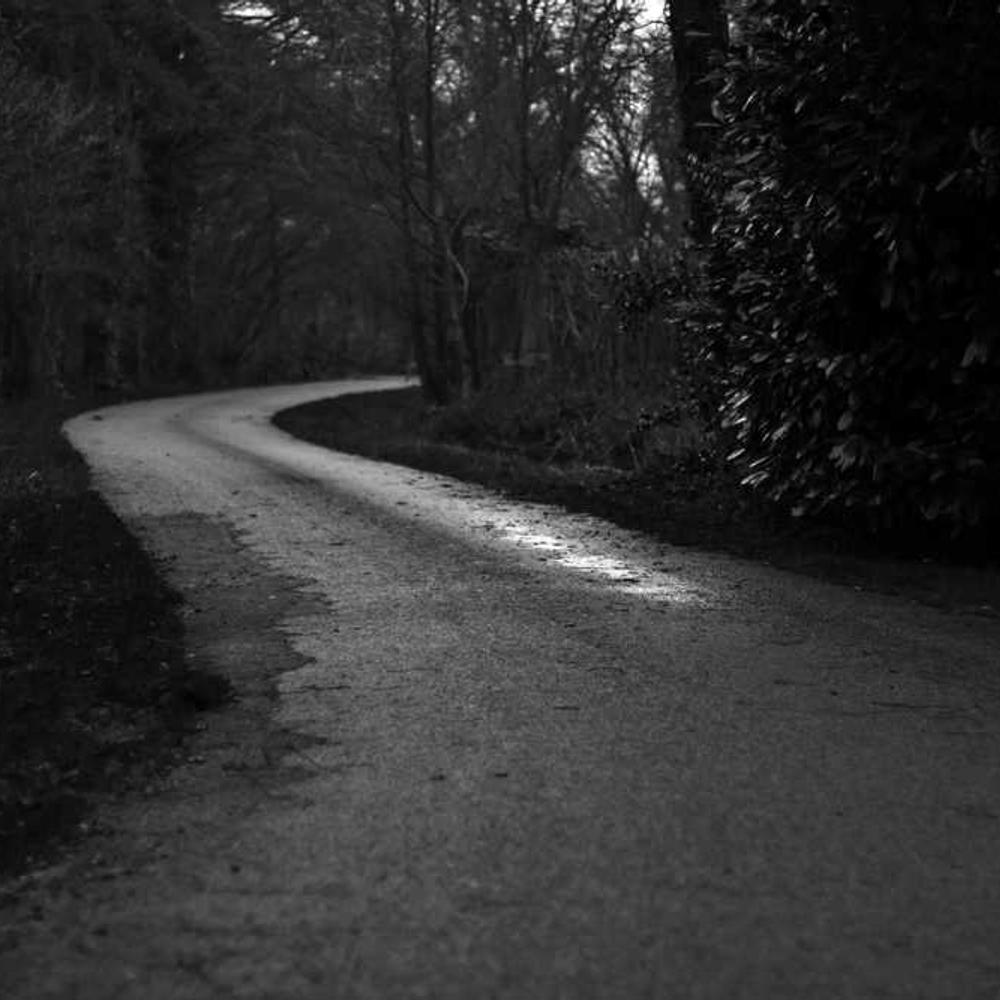 Fitness Reel Product Placement