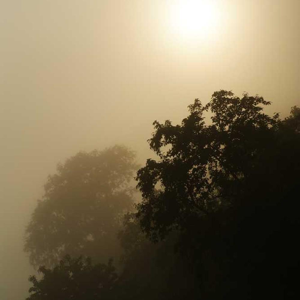 Brand Integration in Comedy Thread