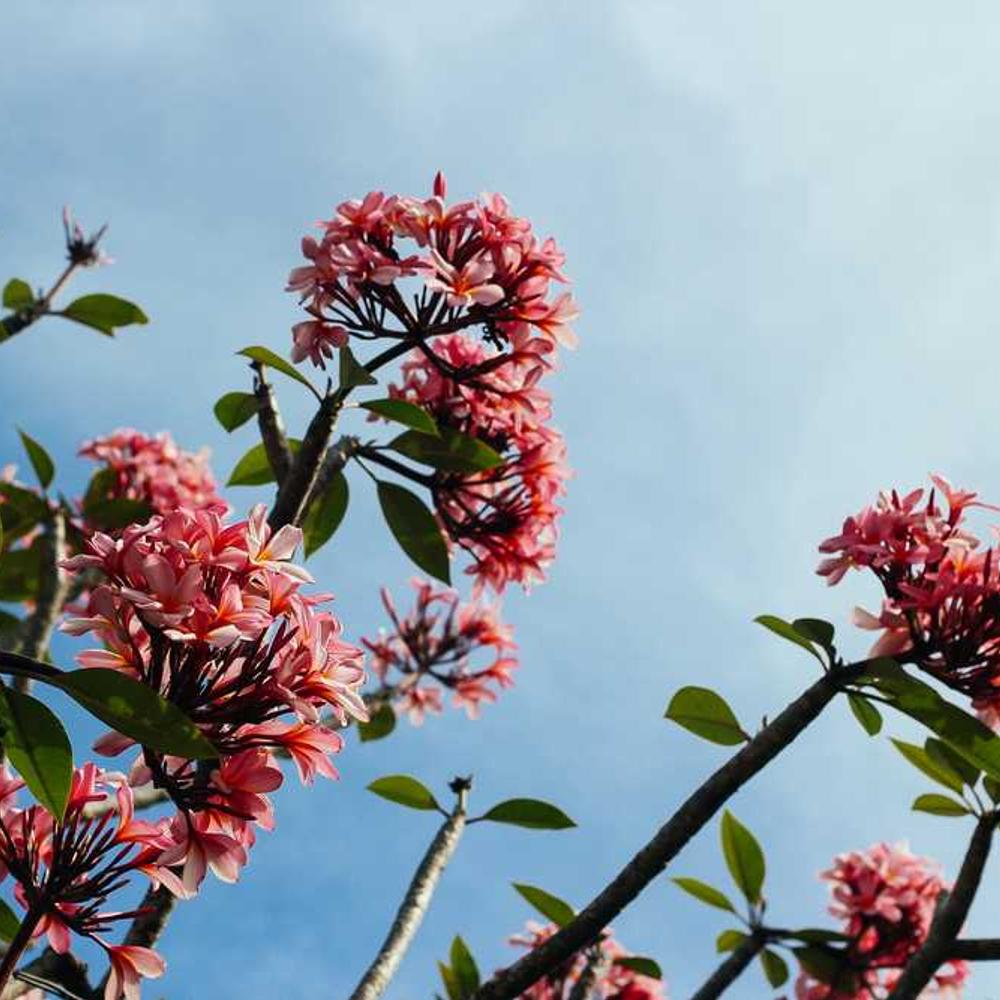 Snapchat Filter Mention in Malawi