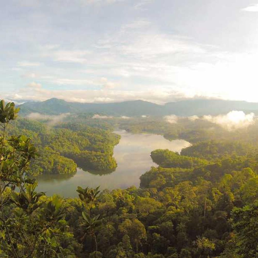 Vancouver Food Scene Content Bundle