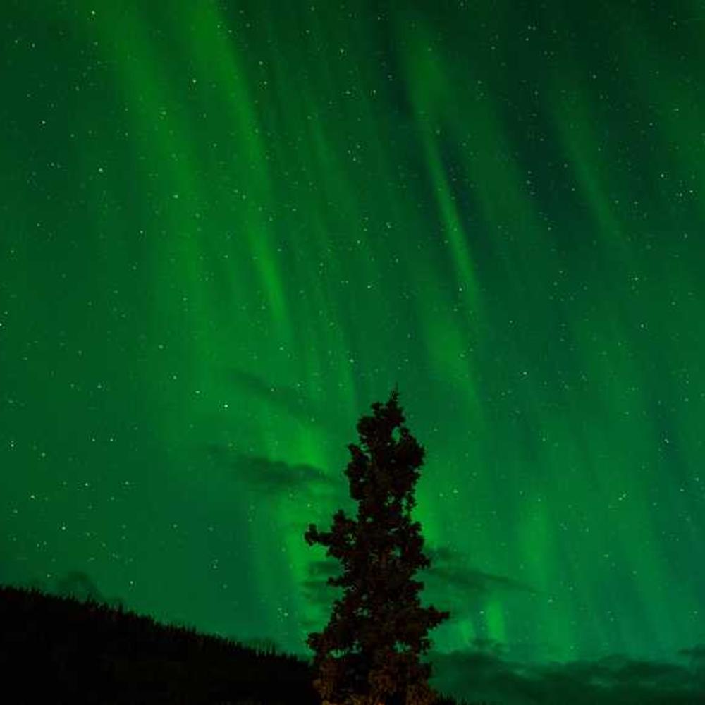 Authentic YouTube Product Review for Indian Audiences