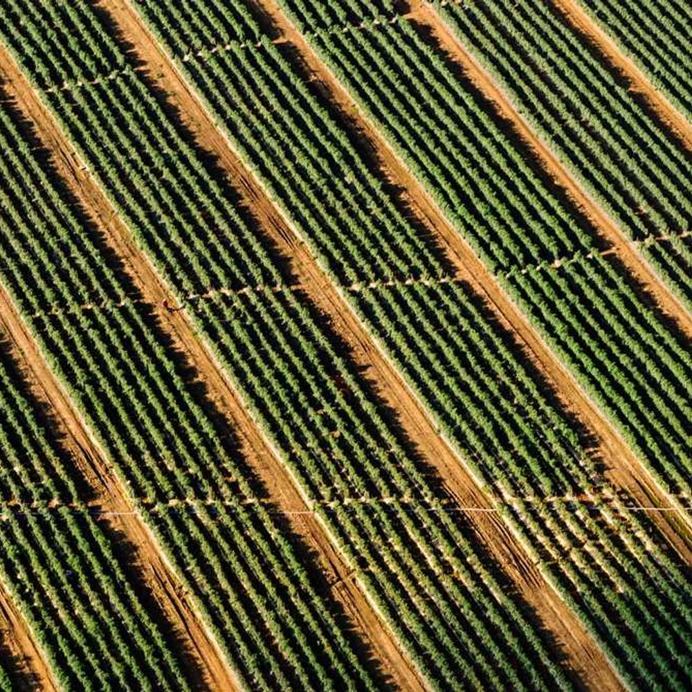 Authentic YouTube Unboxing for Indian Lifestyle