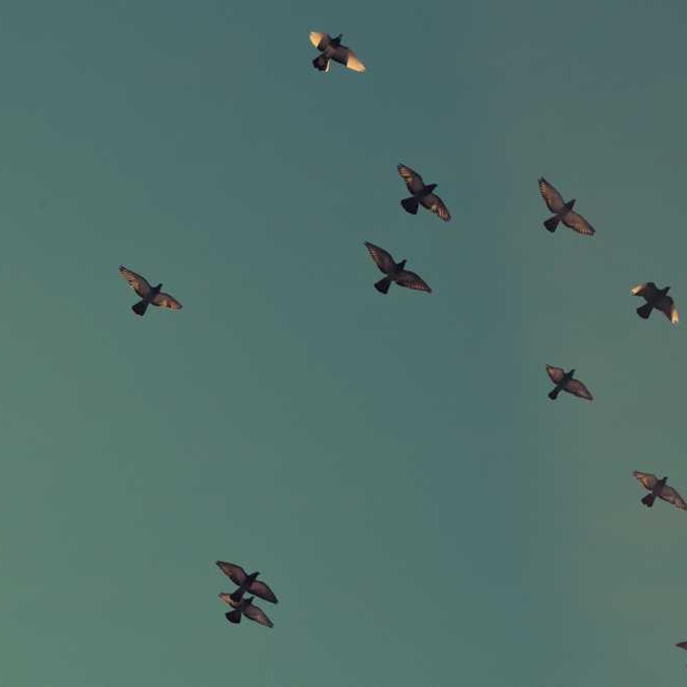 Authentic UGC-Style Content Partnership