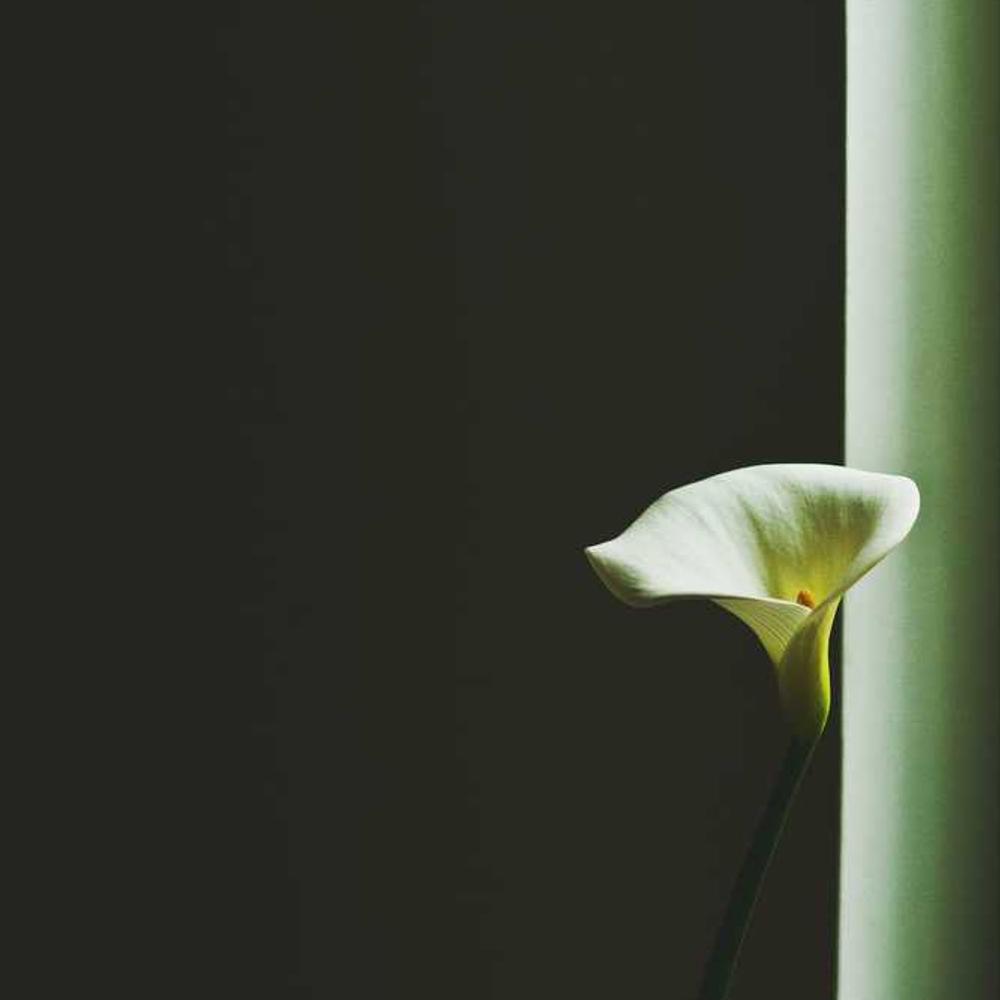 Co-Host a Live Session in Manila