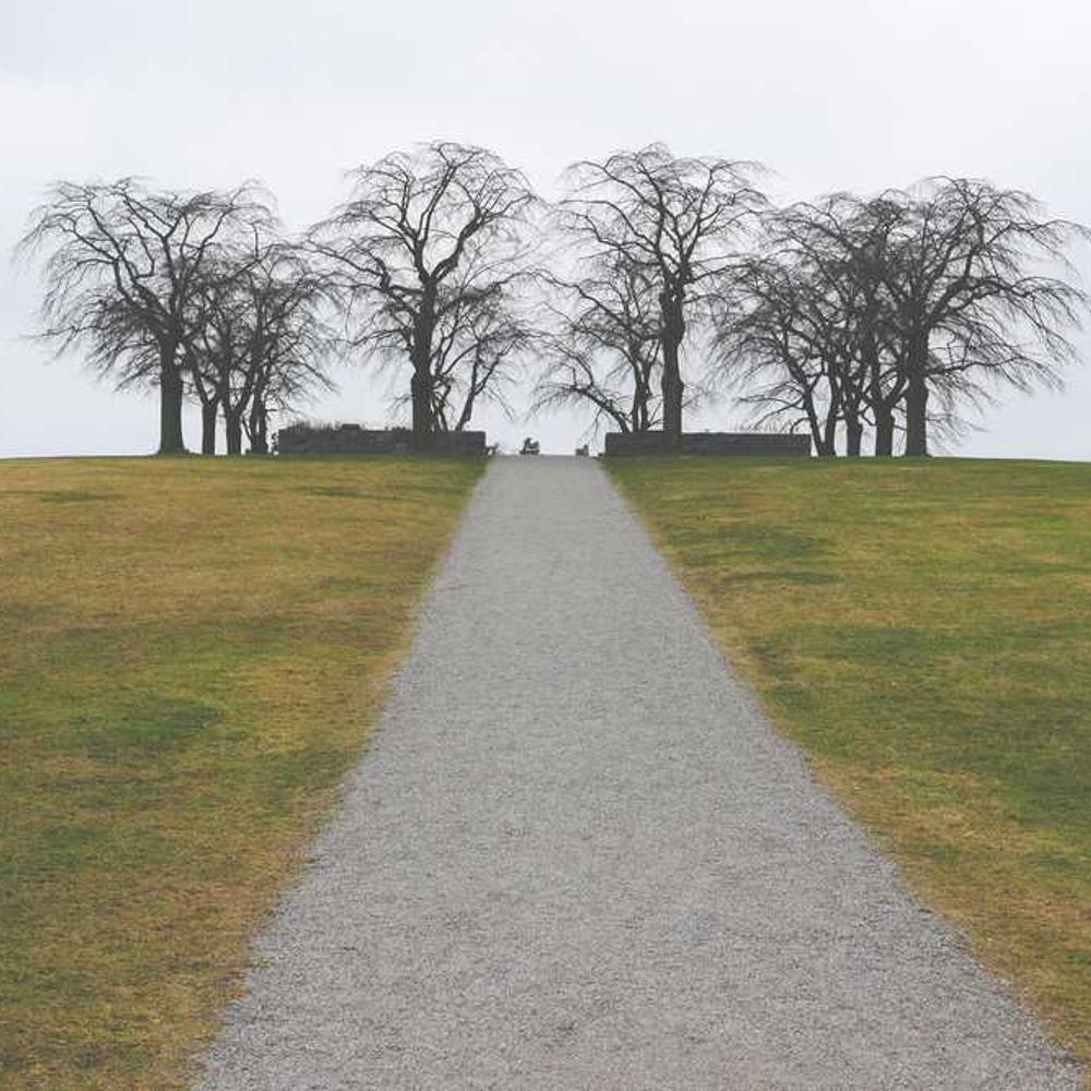 Dallas Instagram Stories Brand Promotion