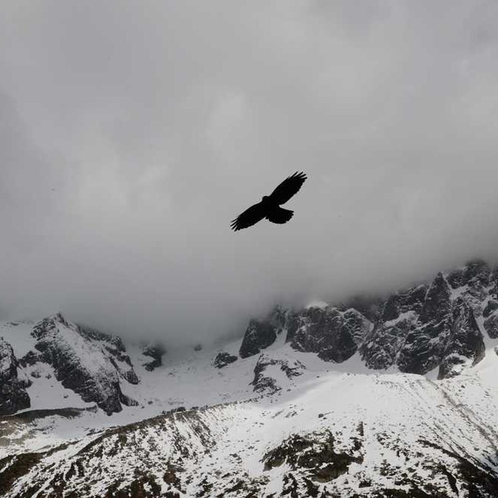 Authentic Dallas Facebook Live Brand Integration