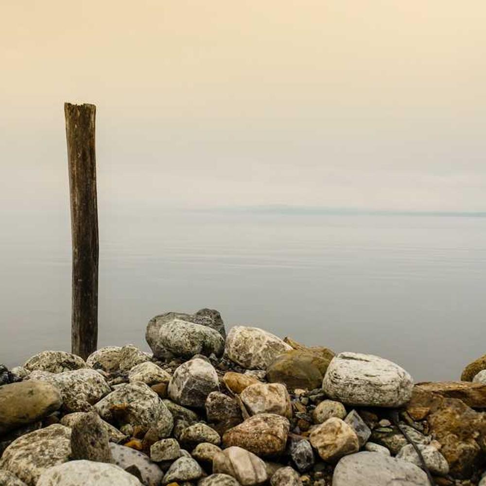 Authentic Regional Giveaway Video